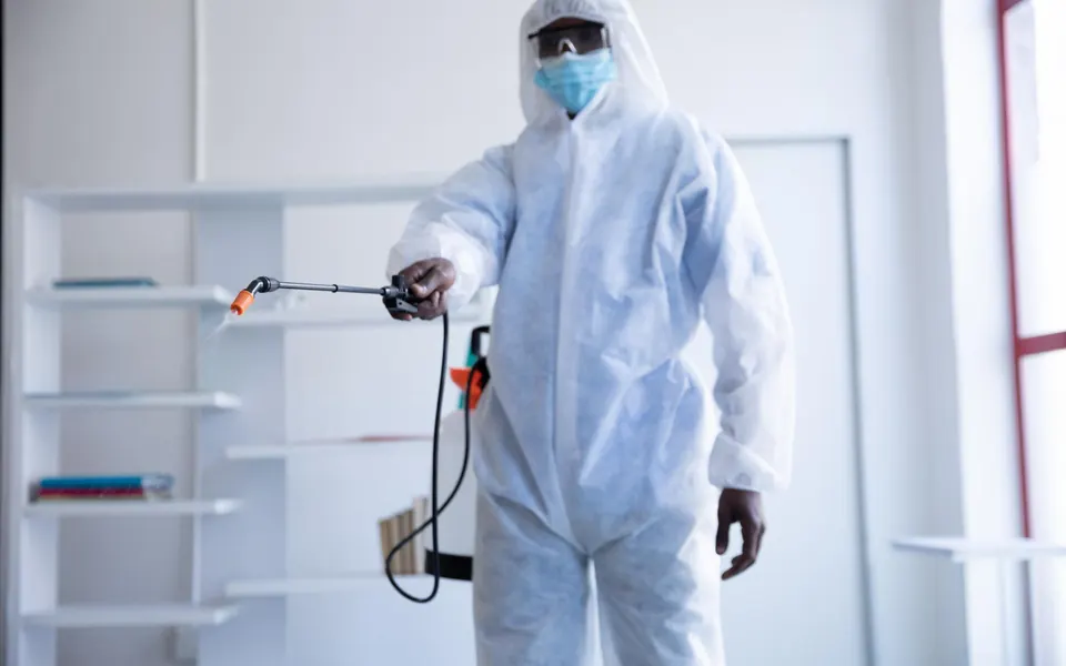 Uploaded photo showing a second bed bug control service observation