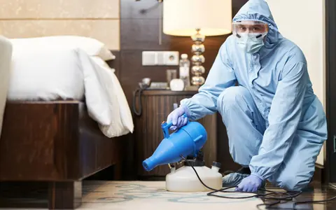 Bed Bug Control pest-control service thumbnail