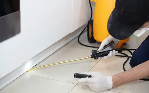 Wasp & Hornet Control pest-control service thumbnail